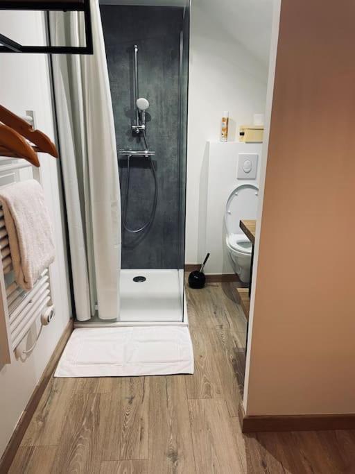 Bryas 3 - Appartement Tres Chaleureux Châteauroux Exterior photo